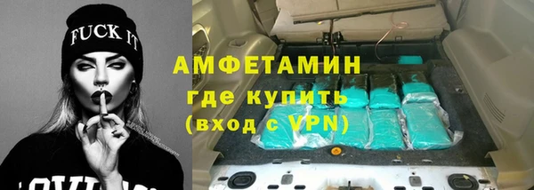 стаф Богданович