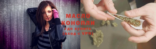 стаф Богданович