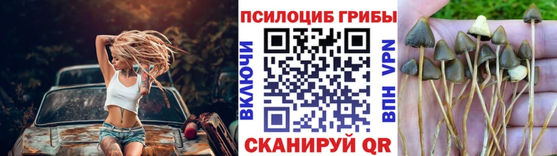 Галлюциногенные грибы Cubensis  Купить закладки  Аткарск 